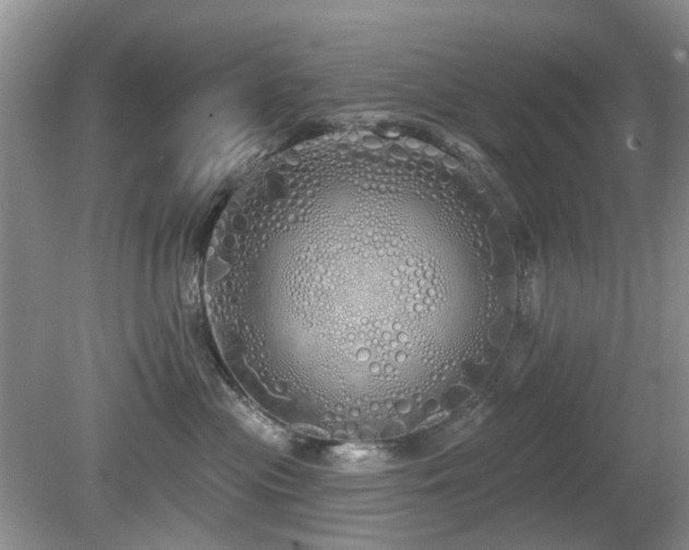 X0000080130477200612081235