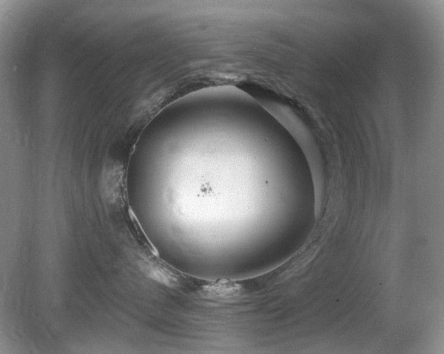 X0000080130480200612081235