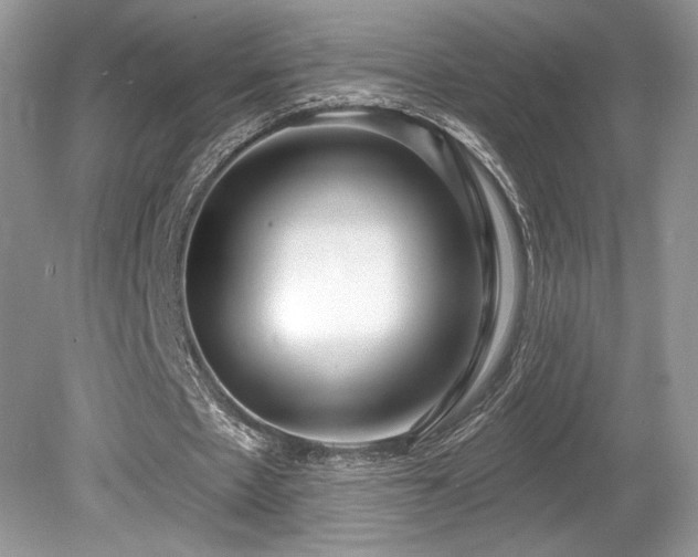 X0000080130481200612081234