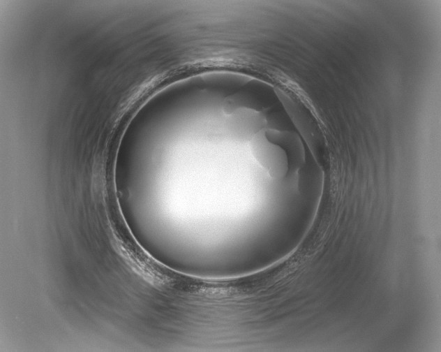 X0000080130482200612081234