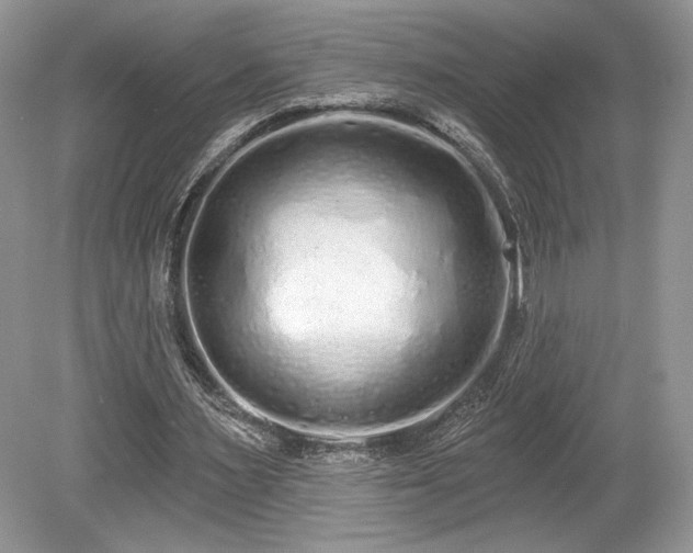 X0000080130483200612081234