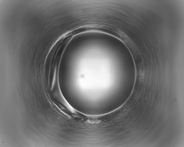 X0000080130484200612081234