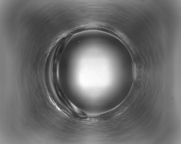 X0000080130485200612081234