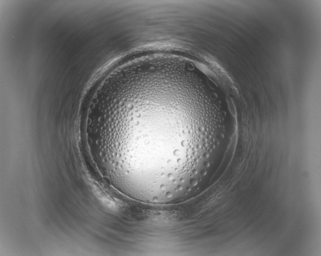 X0000080130486200612081234