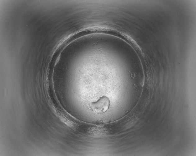 X0000080130487200612081234