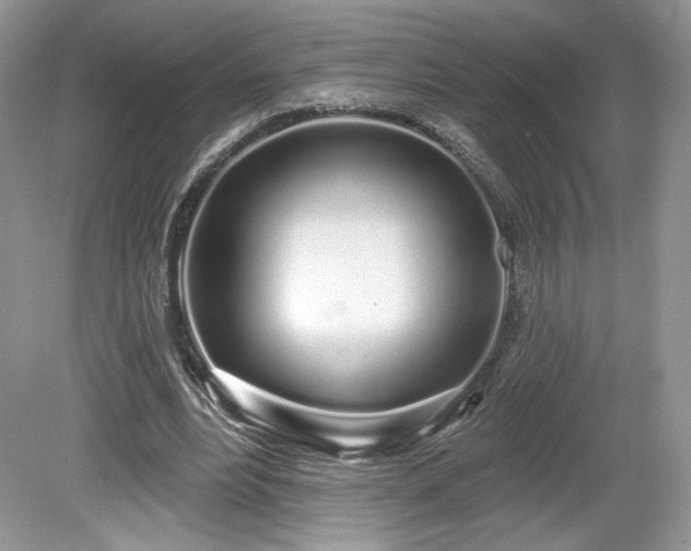 X0000080130488200612081234