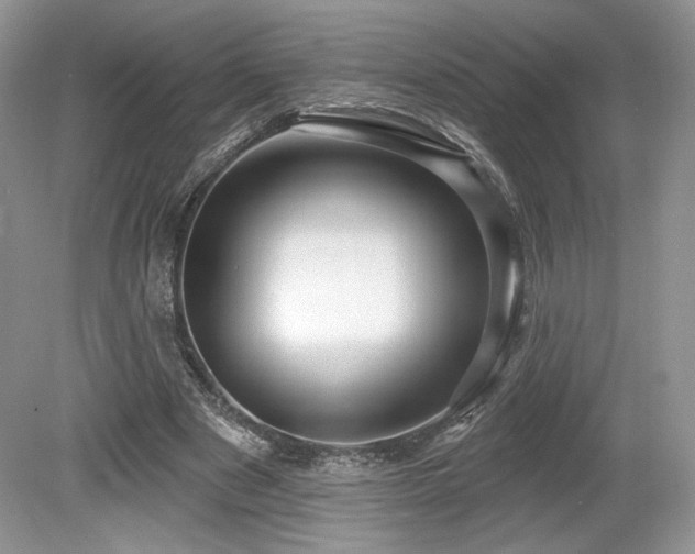 X0000080130489200612081234