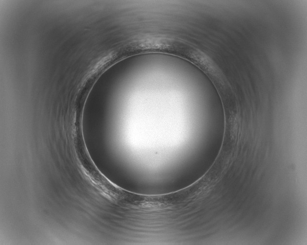 X0000080130490200612081234