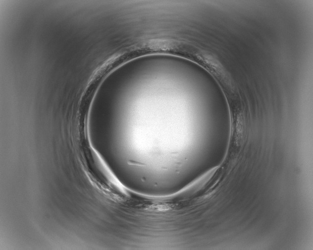 X0000080130492200612081234