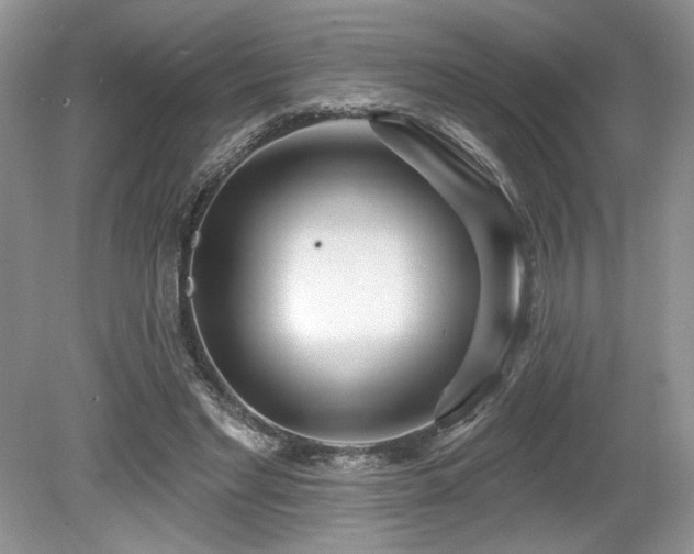 X0000080130493200612081234