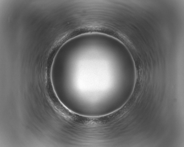 X0000080130494200612081234