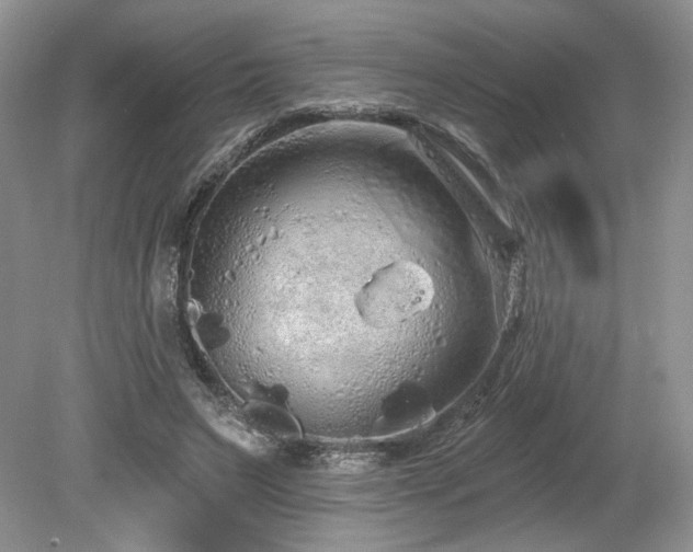 X0000080130495200612081234