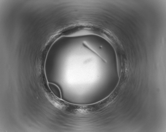 X0000080130496200612081234