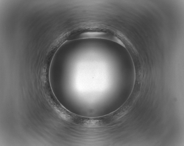 X0000080130497200612081234