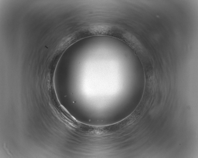 X0000080130498200612081234