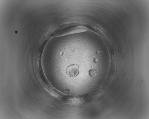 X0000080130499200612081234