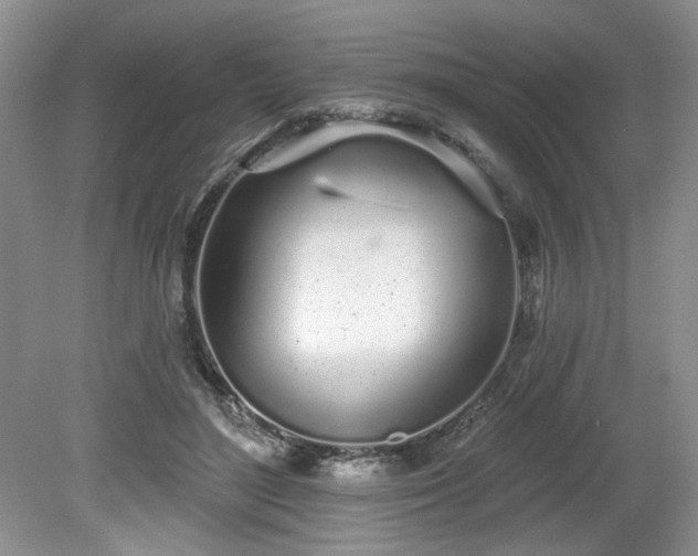 X0000080130500200612081234