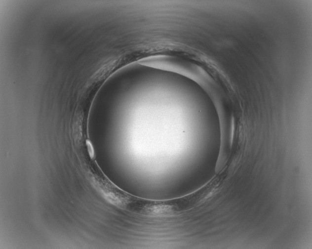 X0000080130501200612081234