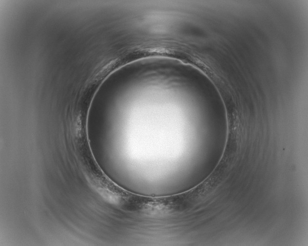 X0000080130502200612081234