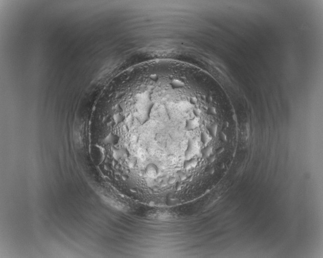 X0000080130503200612081234