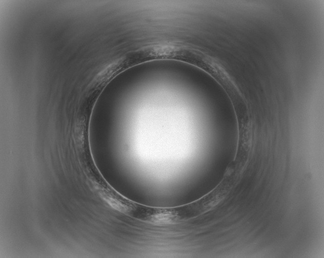 X0000080130505200612081233