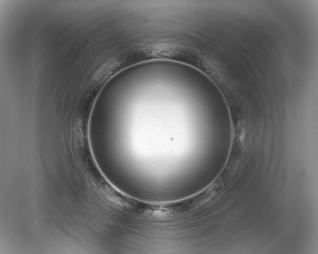 X0000080130506200612081233