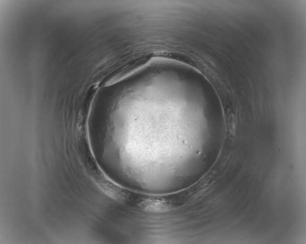 X0000080130507200612081233