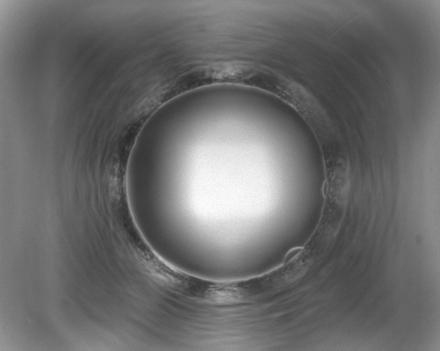 X0000080130510200612081233