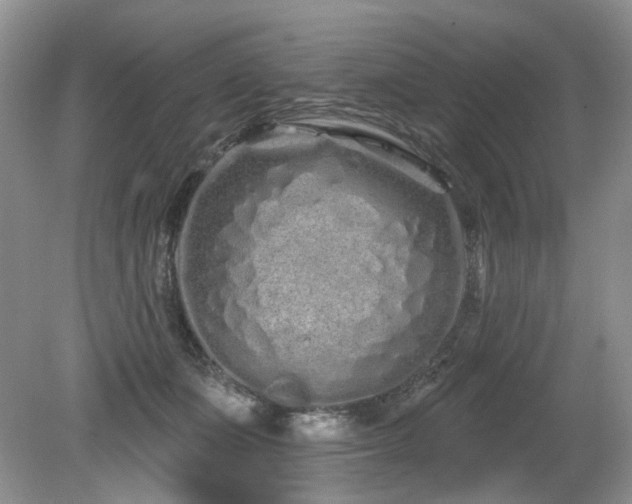 X0000080130511200612081233