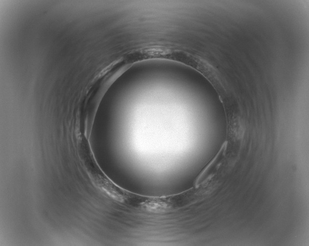 X0000080130512200612081233