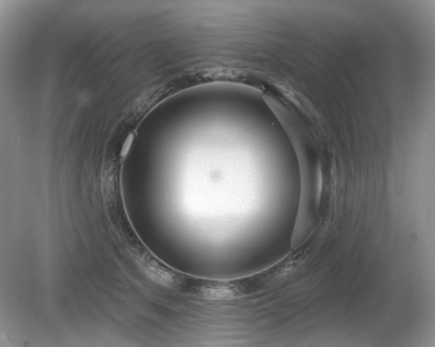 X0000080130513200612081233