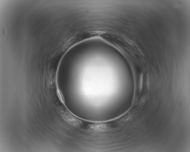 X0000080130517200612081233