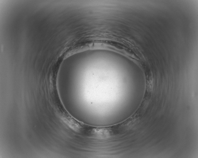 X0000080130520200612081233