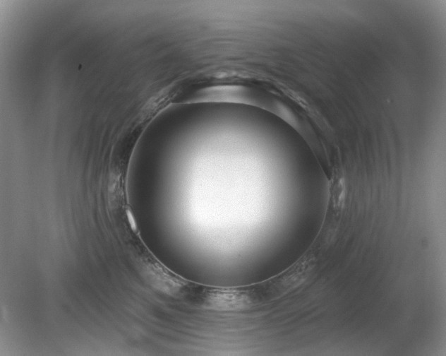 X0000080130521200612081233