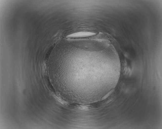 X0000080130523200612081233