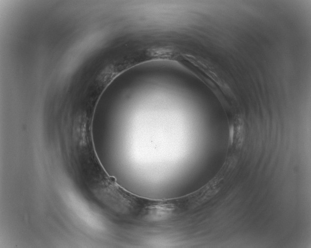 X0000080130525200612081233