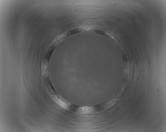 X0000080130526200612081233