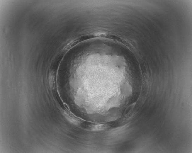 X0000080130527200612081233