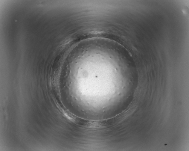 X0000080130528200612081233