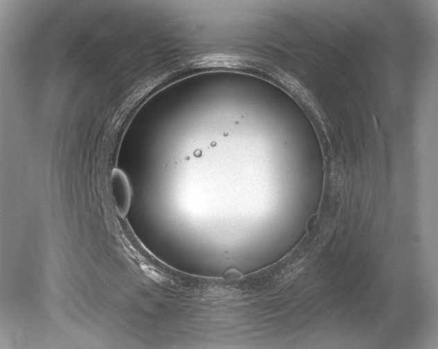 X0000080130529200612081232