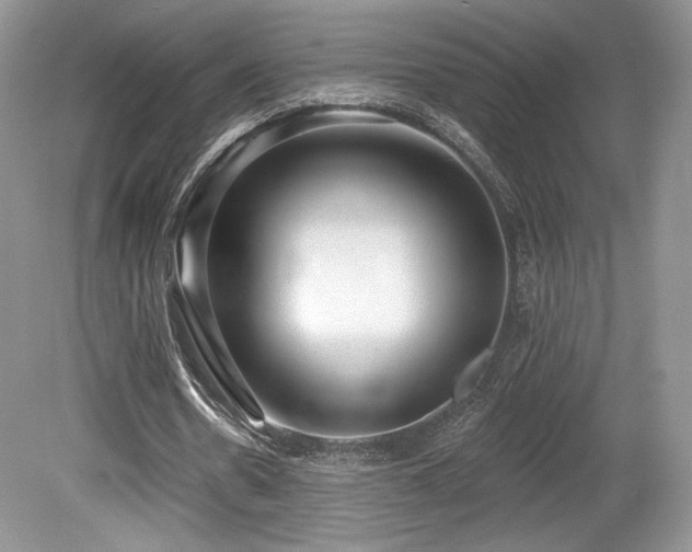 X0000080130530200612081232