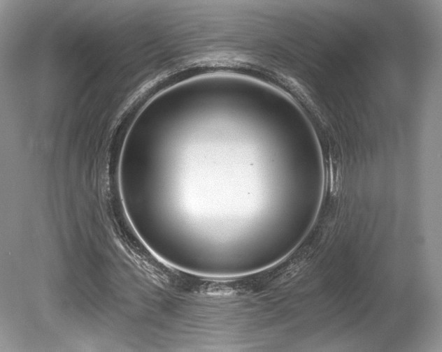 X0000080130531200612081232