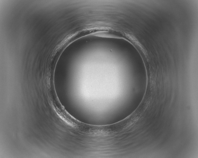 X0000080130533200612081232