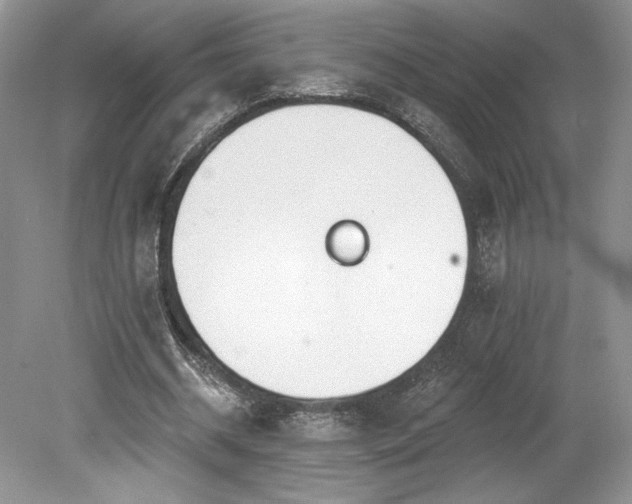 X0000080130534200612081232