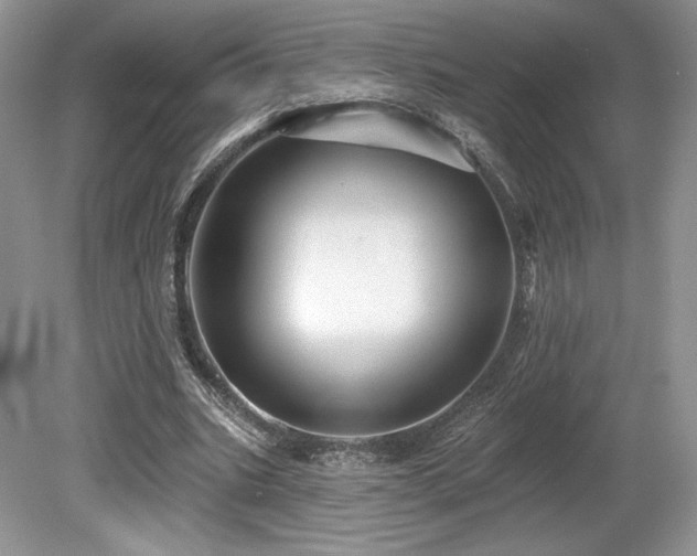 X0000080130535200612081232