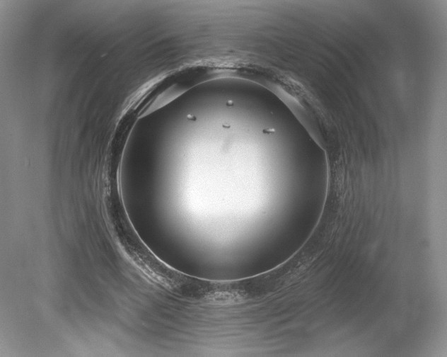 X0000080130536200612081232