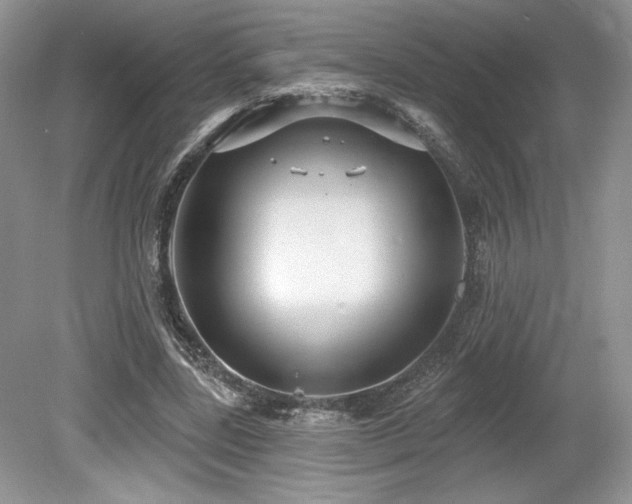 X0000080130539200612081232