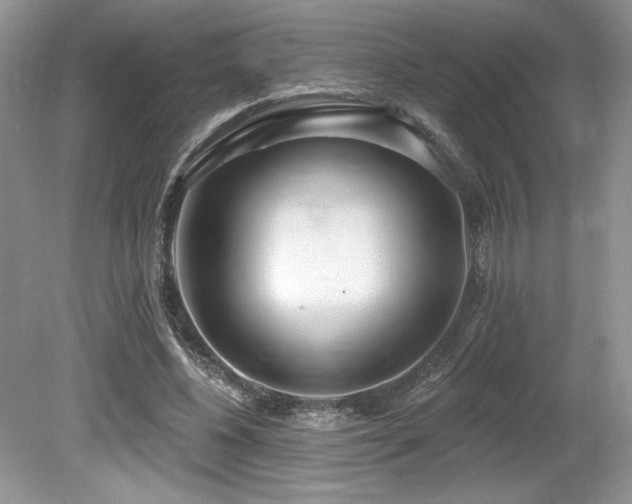 X0000080130540200612081232