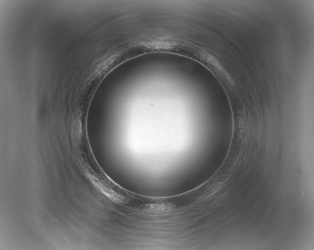 X0000080130541200612081232