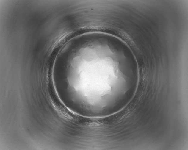 X0000080130542200612081233